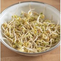 Kitchen Garden Fenugreek Sprouting Seeds 100g